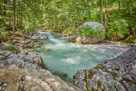 Gemeinde Ramsau Landkreis Berchtesgadener_Land Zauberwald am Hintersee (Dirschl Johann) Deutschland BGL